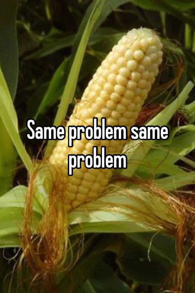 same-problem-same-problem