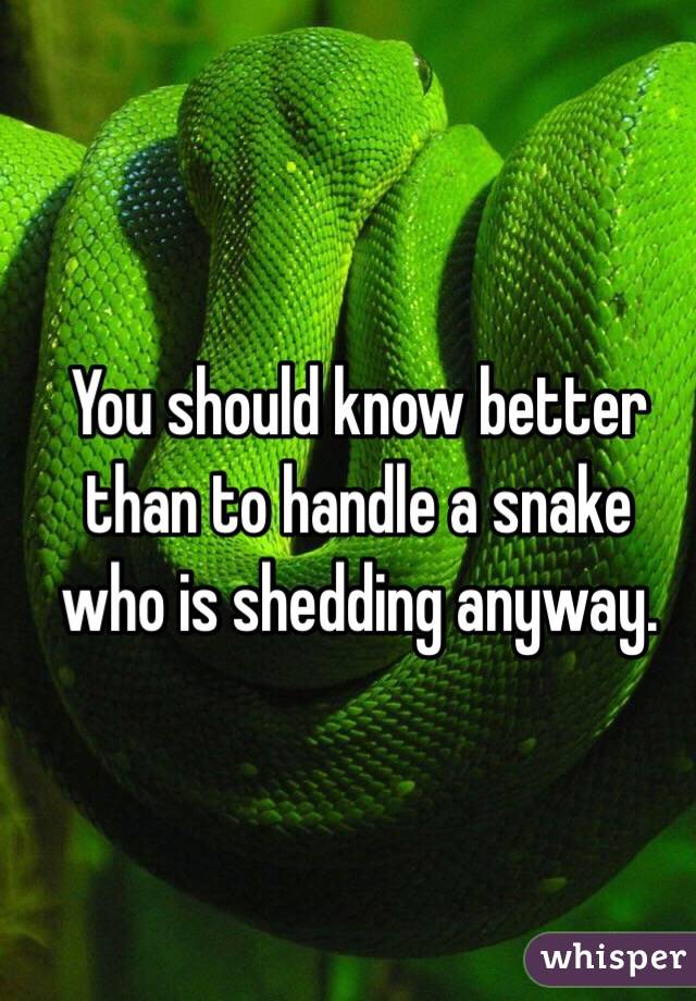 You should know better than to handle a snake who is shedding anyway.