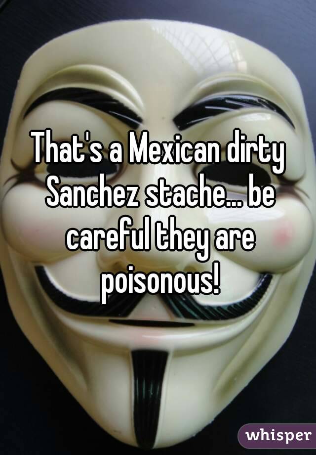 That's a Mexican dirty Sanchez stache... be careful they are poisonous!