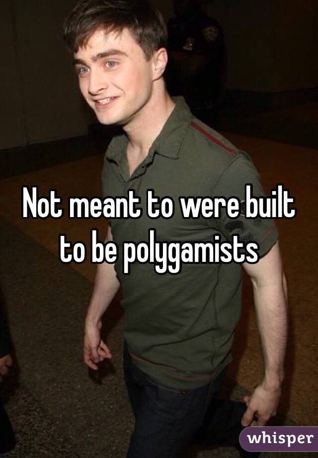 Not meant to were built to be polygamists 