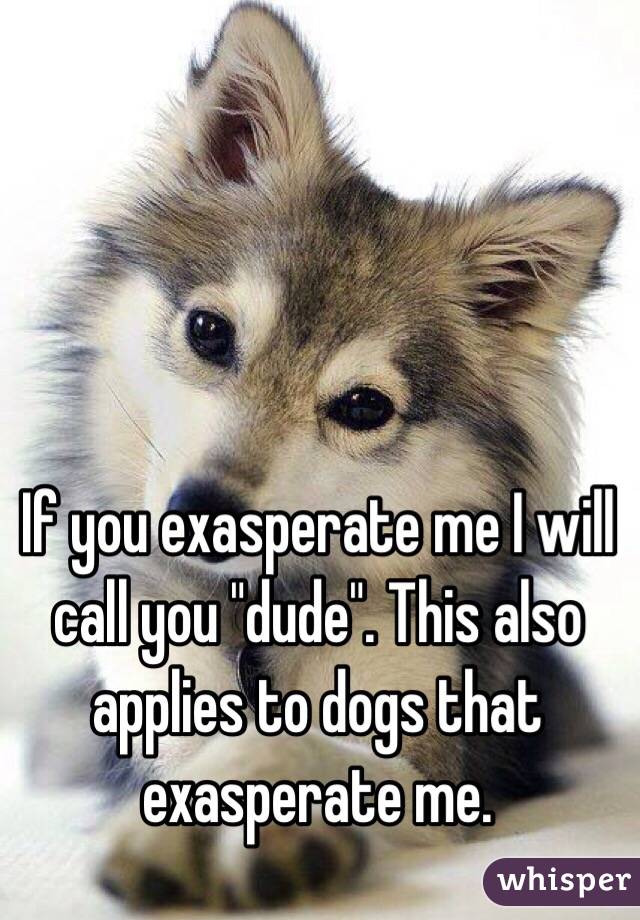 If you exasperate me I will call you "dude". This also applies to dogs that exasperate me.