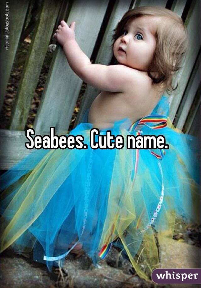 Seabees. Cute name. 