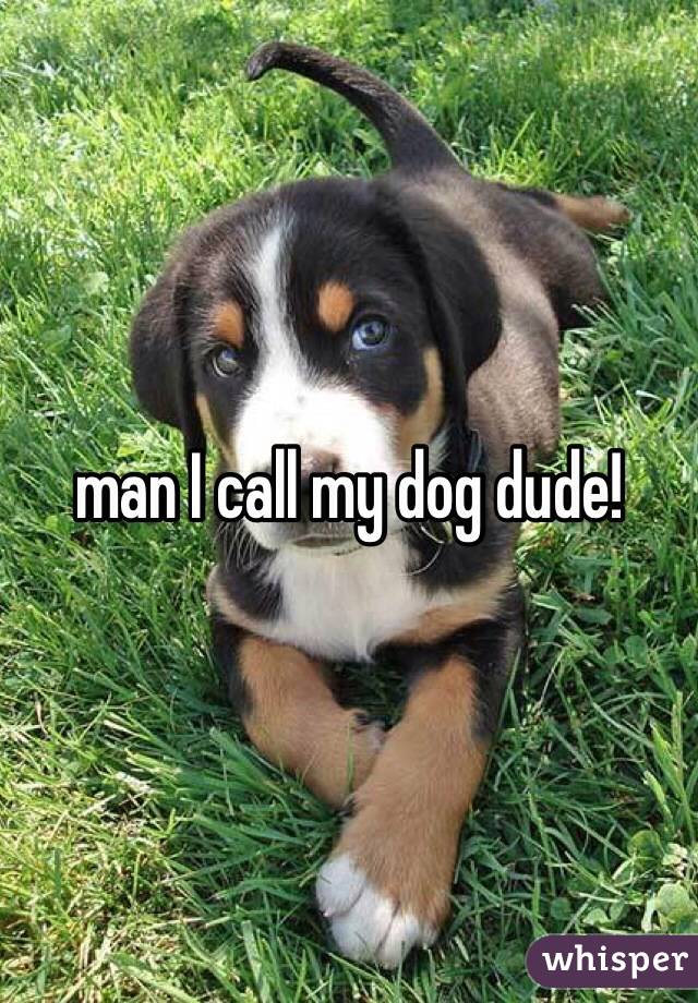 man I call my dog dude!