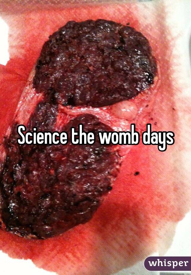 Science the womb days 
