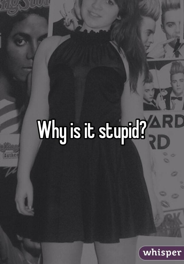 Why is it stupid? 