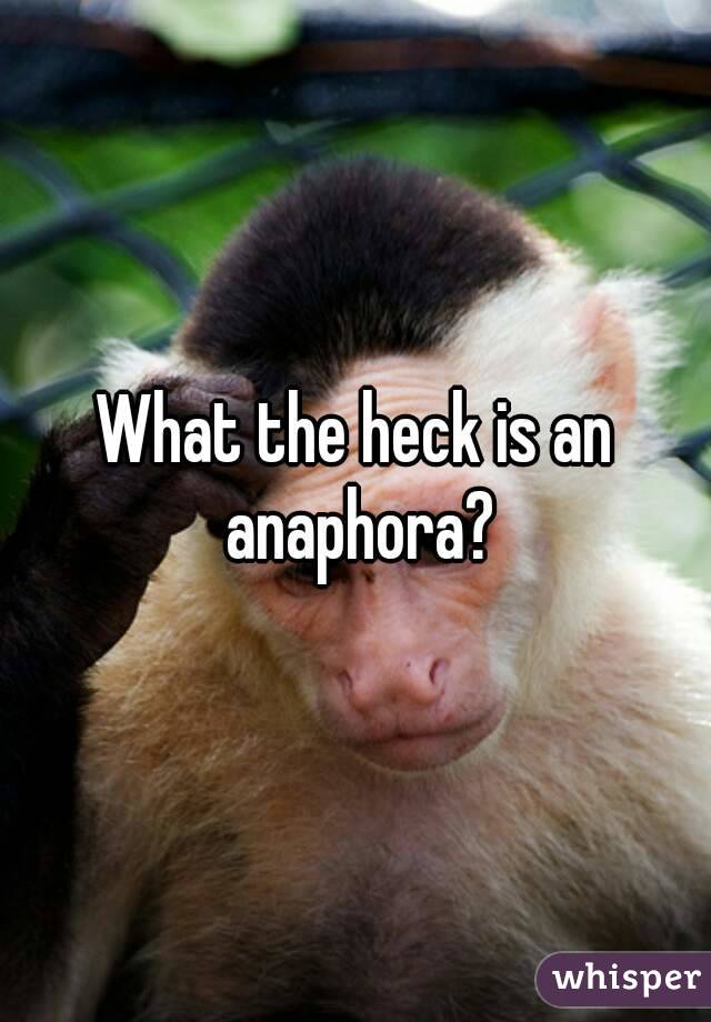 What the heck is an anaphora?