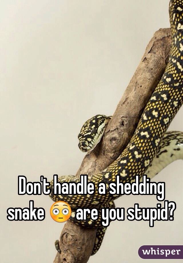 Don't handle a shedding snake 😳 are you stupid? 

