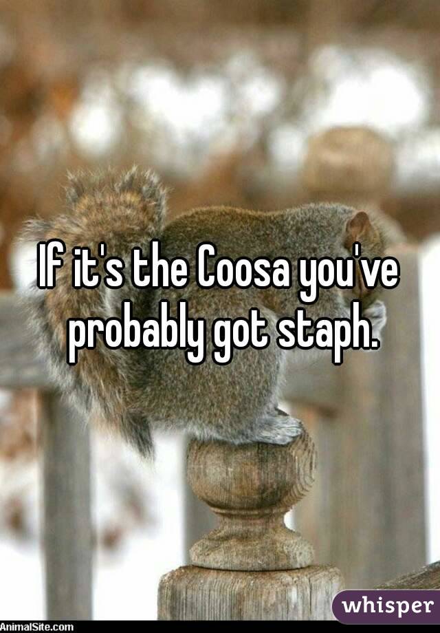 If it's the Coosa you've probably got staph.