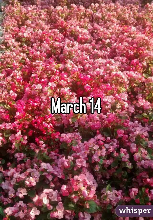 March 14