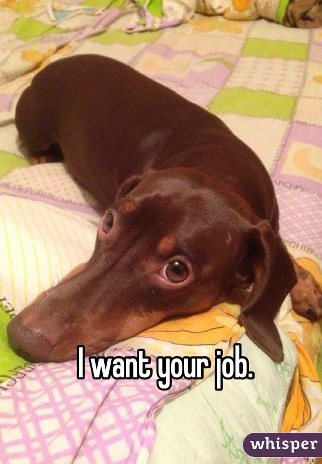 I want your job. 
