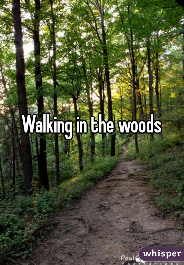 Walking in the woods