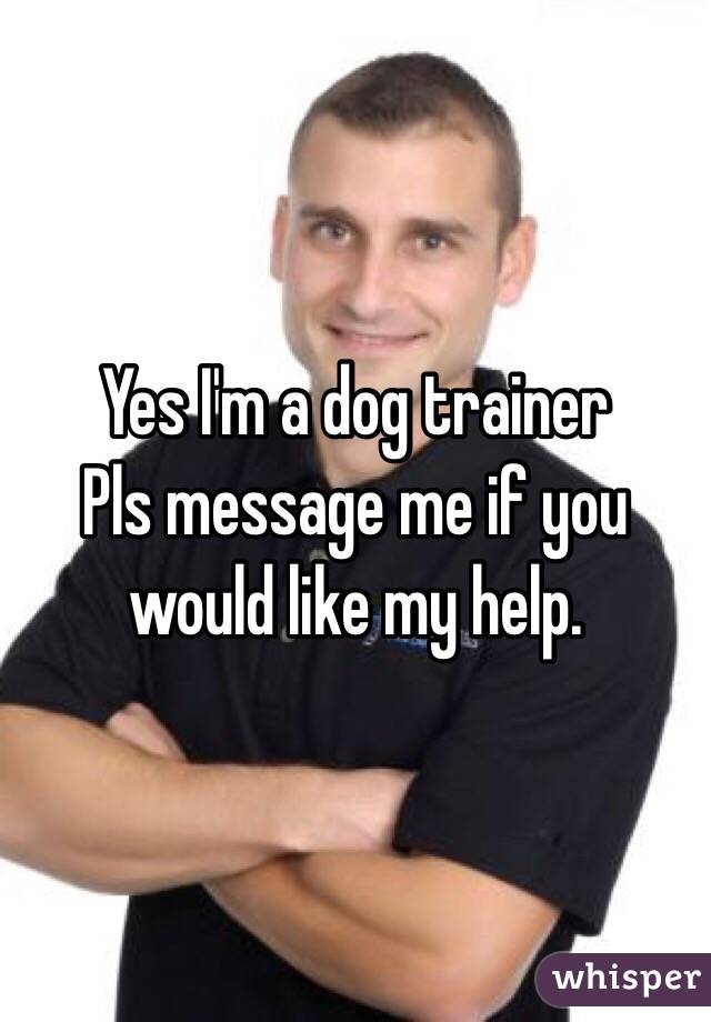 Yes I'm a dog trainer 
Pls message me if you would like my help.