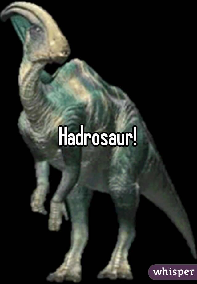 Hadrosaur!