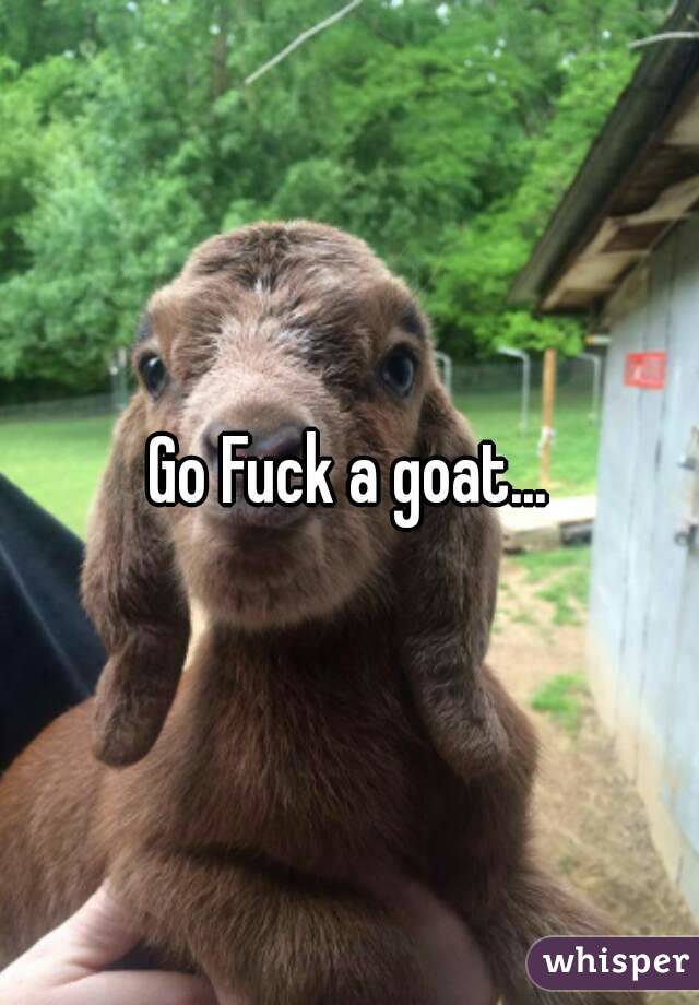Go Fuck a goat...