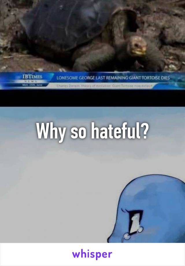 Why so hateful?