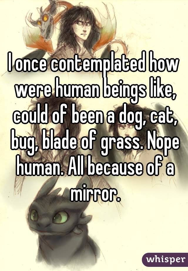 I once contemplated how were human beings like, could of been a dog, cat, bug, blade of grass. Nope human. All because of a mirror.