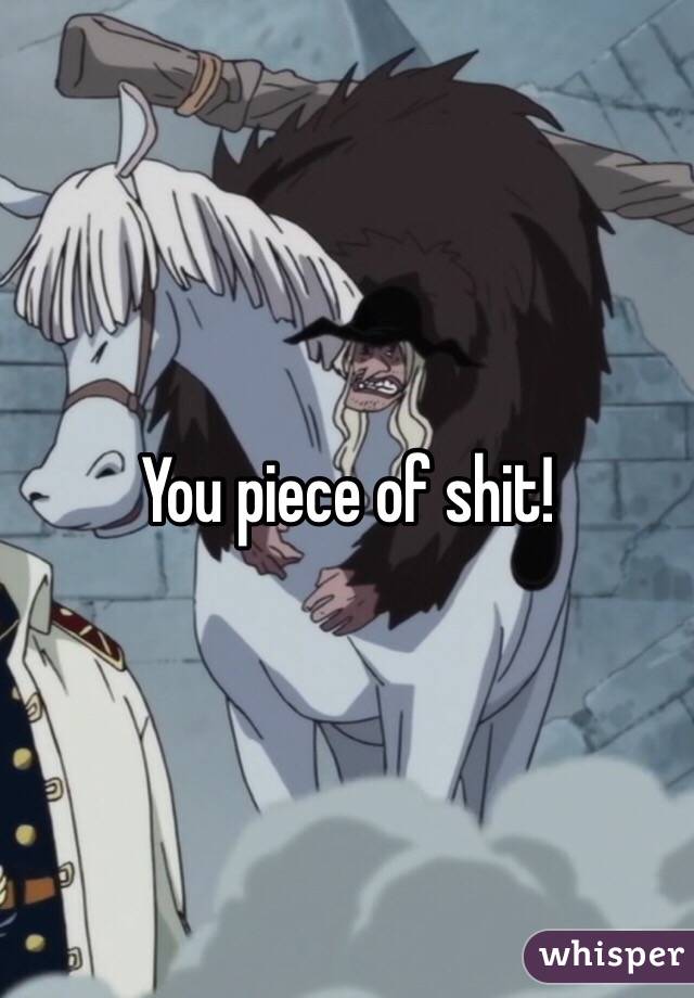 You piece of shit!