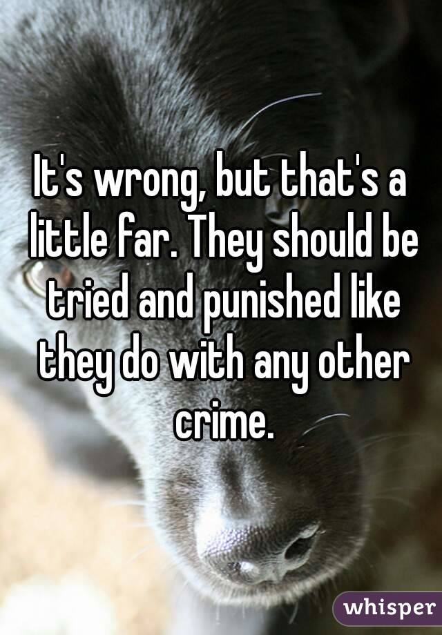 It's wrong, but that's a little far. They should be tried and punished like they do with any other crime.