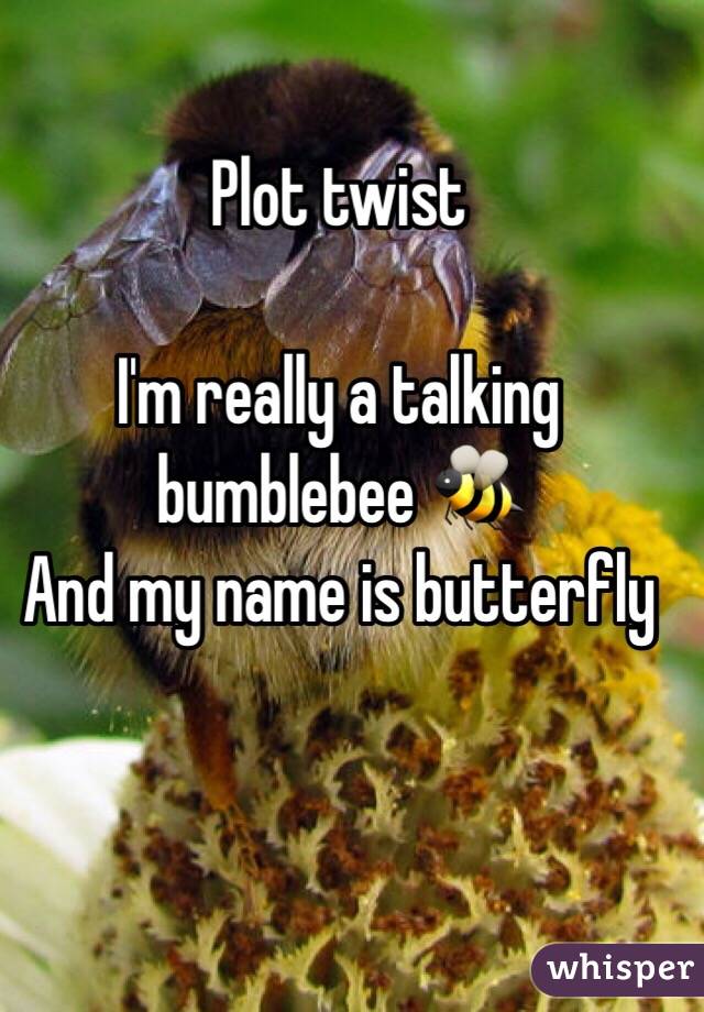 Plot twist

I'm really a talking bumblebee 🐝 
And my name is butterfly 