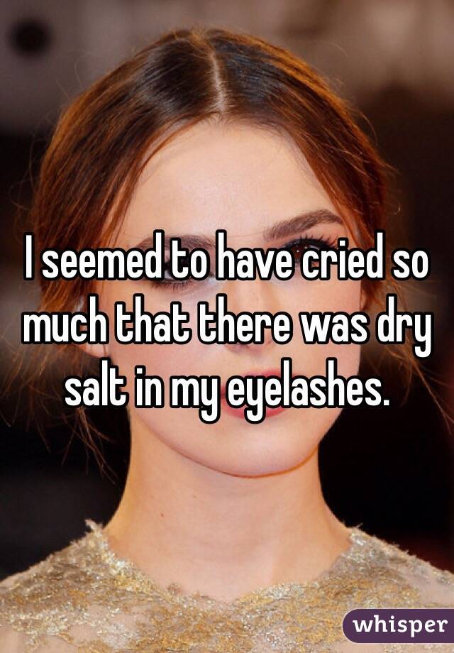 I seemed to have cried so much that there was dry salt in my eyelashes.