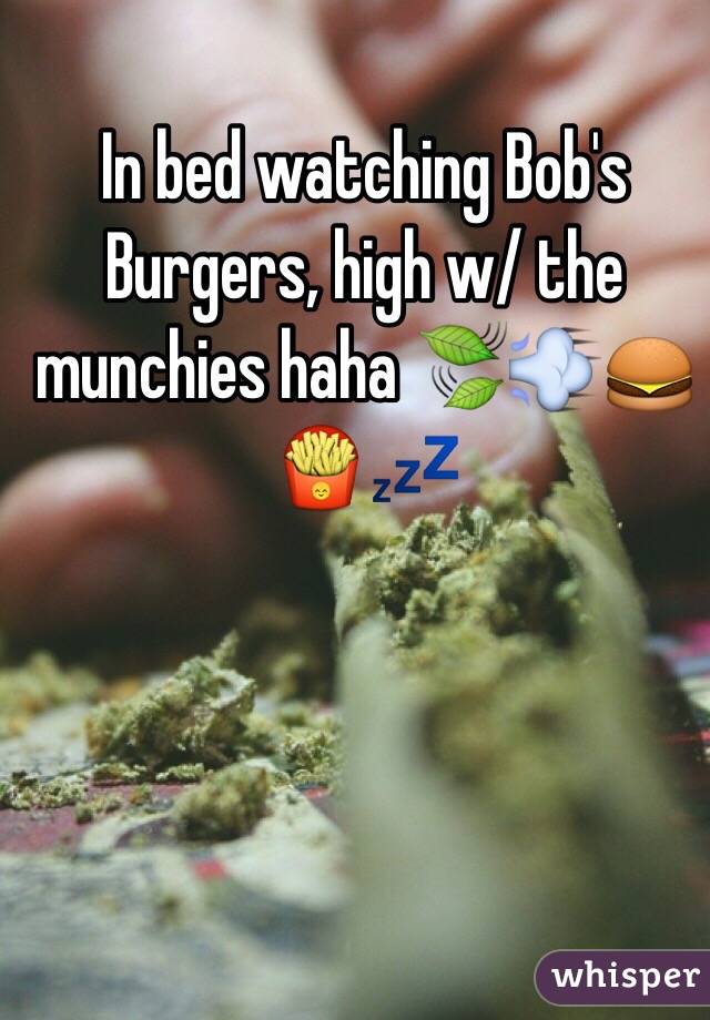 In bed watching Bob's Burgers, high w/ the munchies haha 🍃💨🍔🍟💤