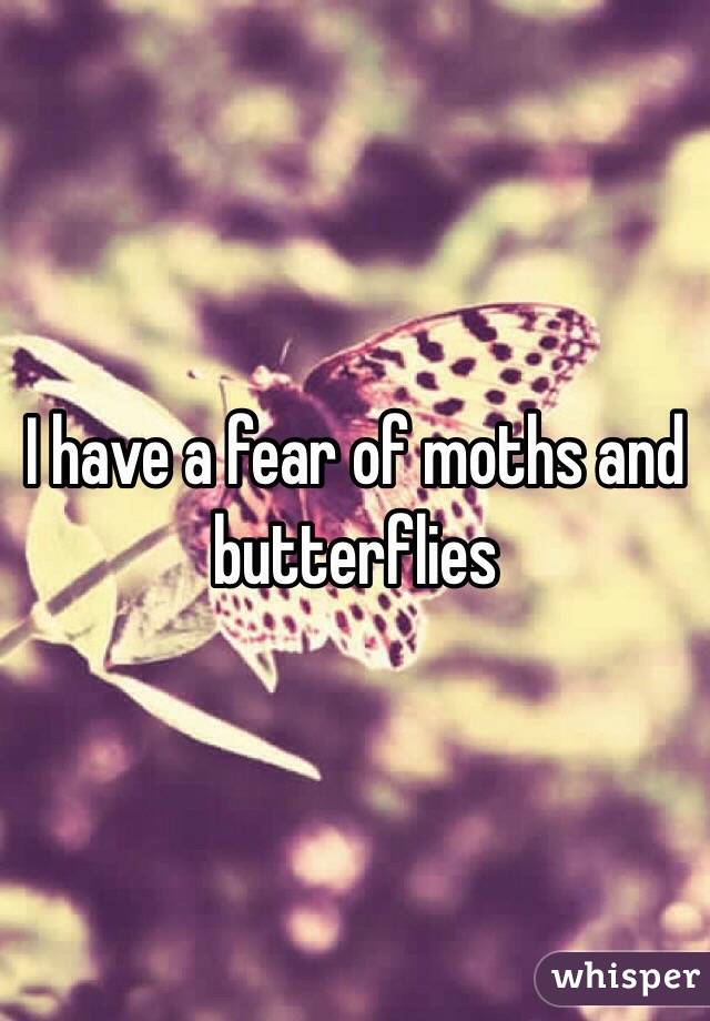 I have a fear of moths and butterflies