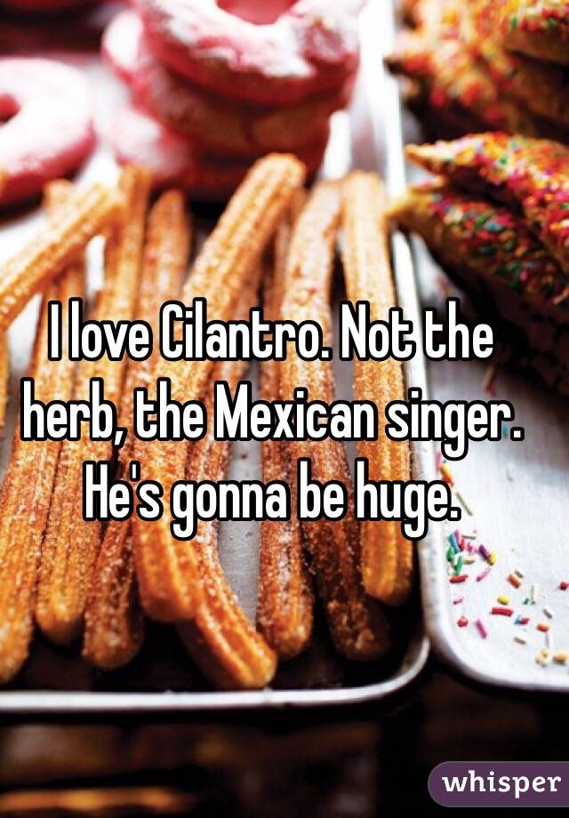 I love Cilantro. Not the herb, the Mexican singer. He's gonna be huge. 