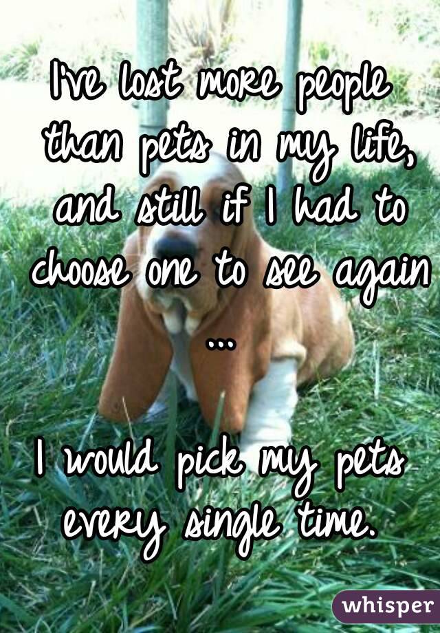 I've lost more people than pets in my life, and still if I had to choose one to see again ... 

I would pick my pets every single time. 