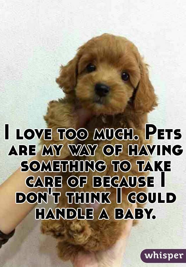 I love too much. Pets are my way of having something to take care of because I don't think I could handle a baby.