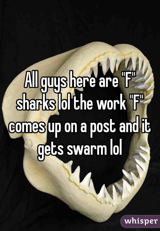 All guys here are "F" sharks lol the work "F" comes up on a post and it gets swarm lol 