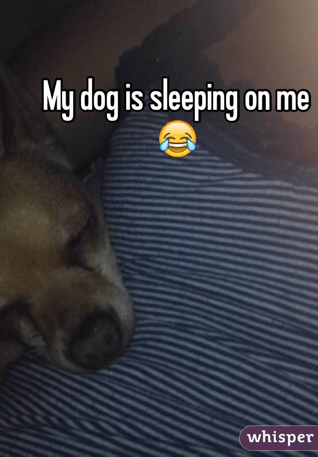 My dog is sleeping on me 😂