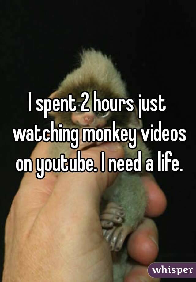 I spent 2 hours just watching monkey videos on youtube. I need a life.