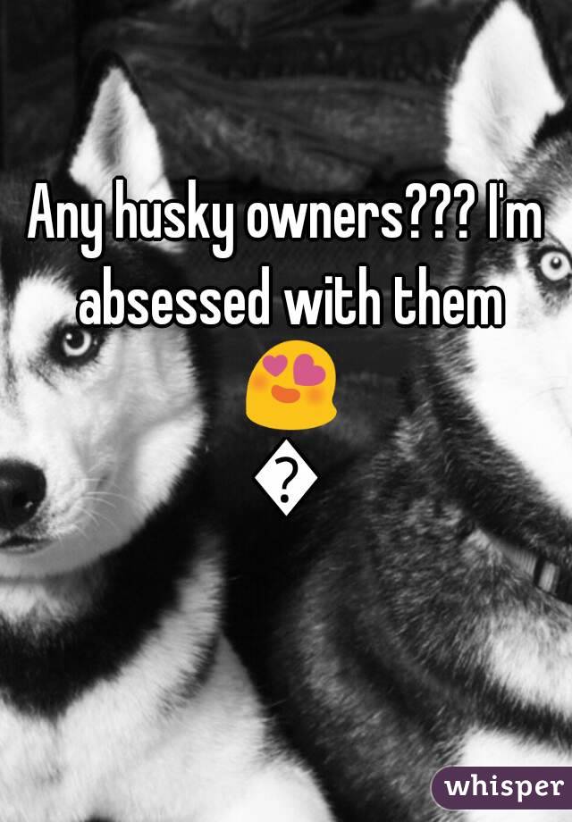 Any husky owners??? I'm absessed with them 😍😍