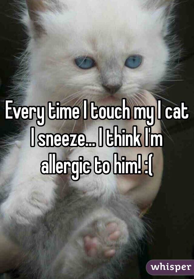 Every time I touch my I cat I sneeze... I think I'm allergic to him! :( 