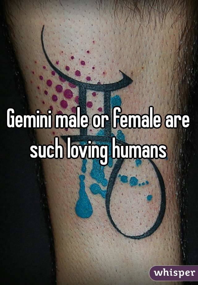 Gemini male or female are such loving humans 