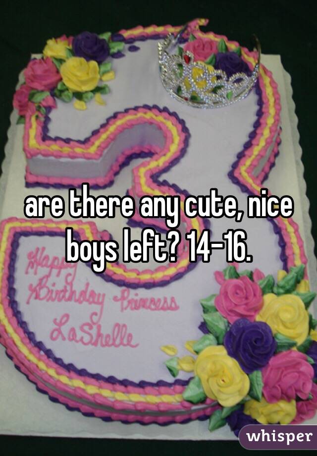 are there any cute, nice boys left? 14-16. 