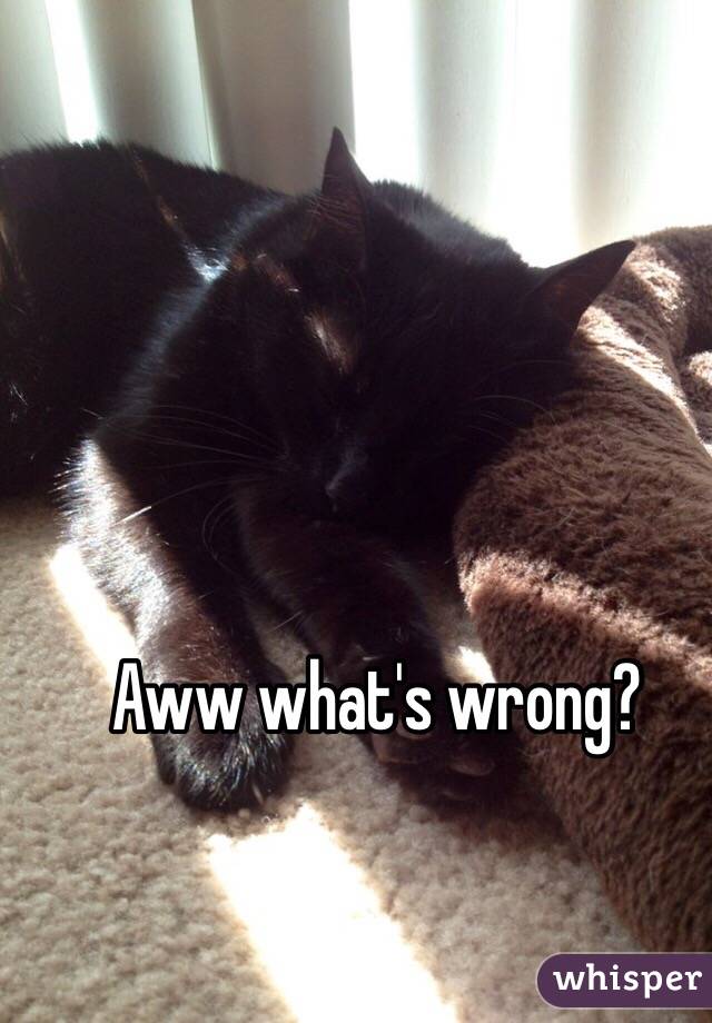 Aww what's wrong? 