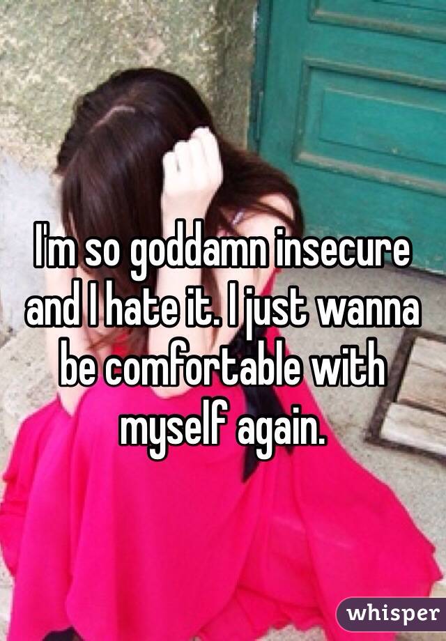 I'm so goddamn insecure and I hate it. I just wanna be comfortable with myself again. 