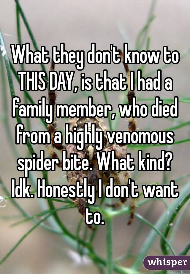 What they don't know to THIS DAY, is that I had a family member, who died from a highly venomous spider bite. What kind? Idk. Honestly I don't want to.