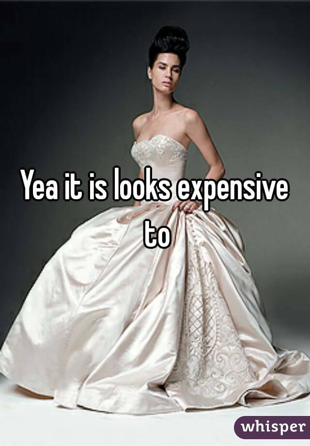 Yea it is looks expensive to