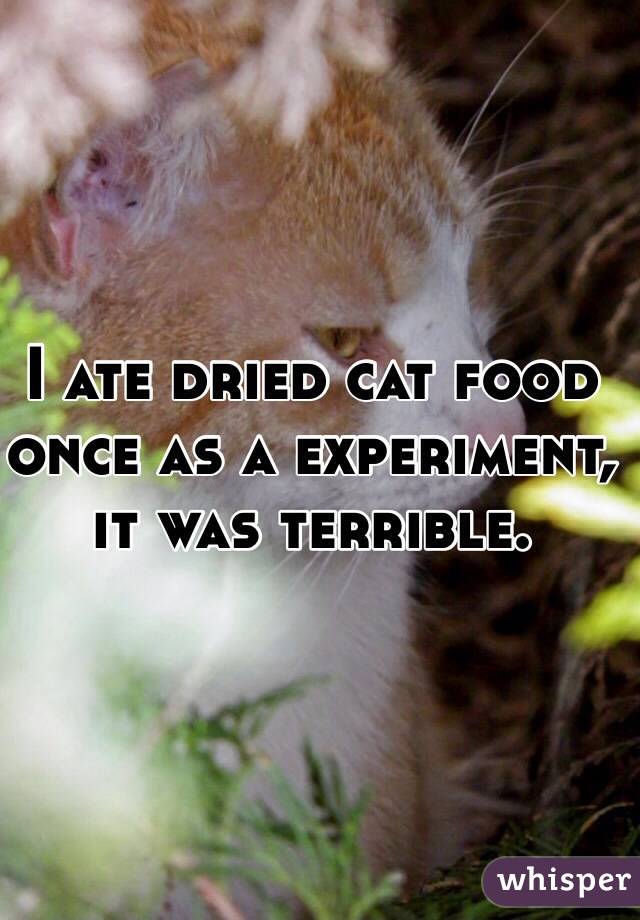I ate dried cat food once as a experiment, it was terrible.