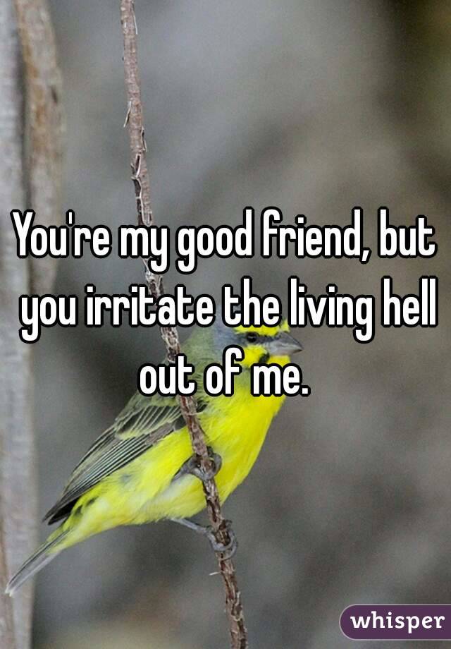 You're my good friend, but you irritate the living hell out of me. 