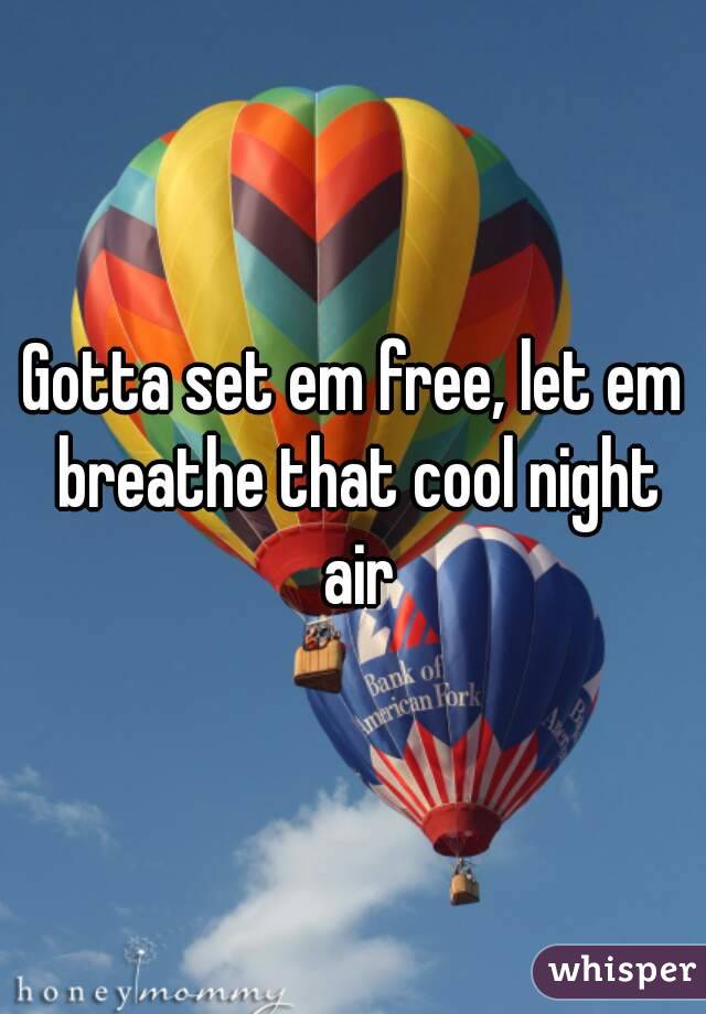 Gotta set em free, let em breathe that cool night air