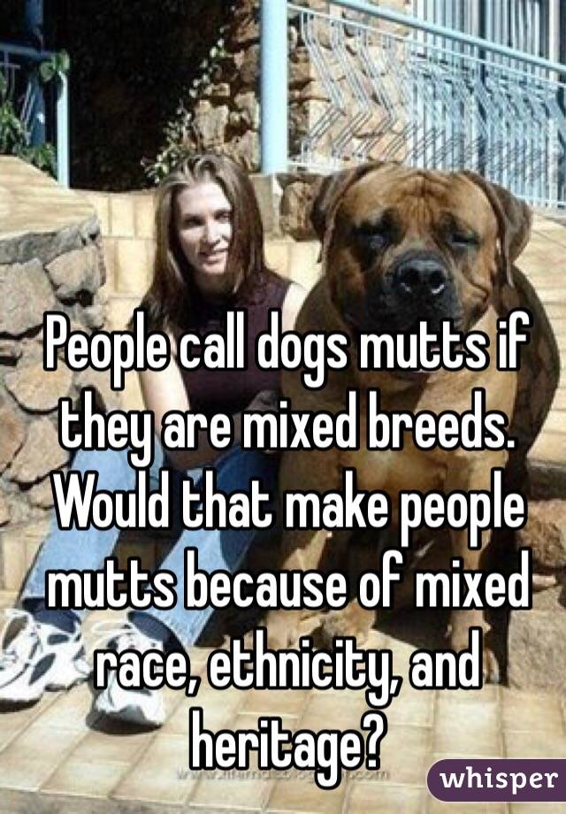 People call dogs mutts if they are mixed breeds.
Would that make people mutts because of mixed race, ethnicity, and heritage?