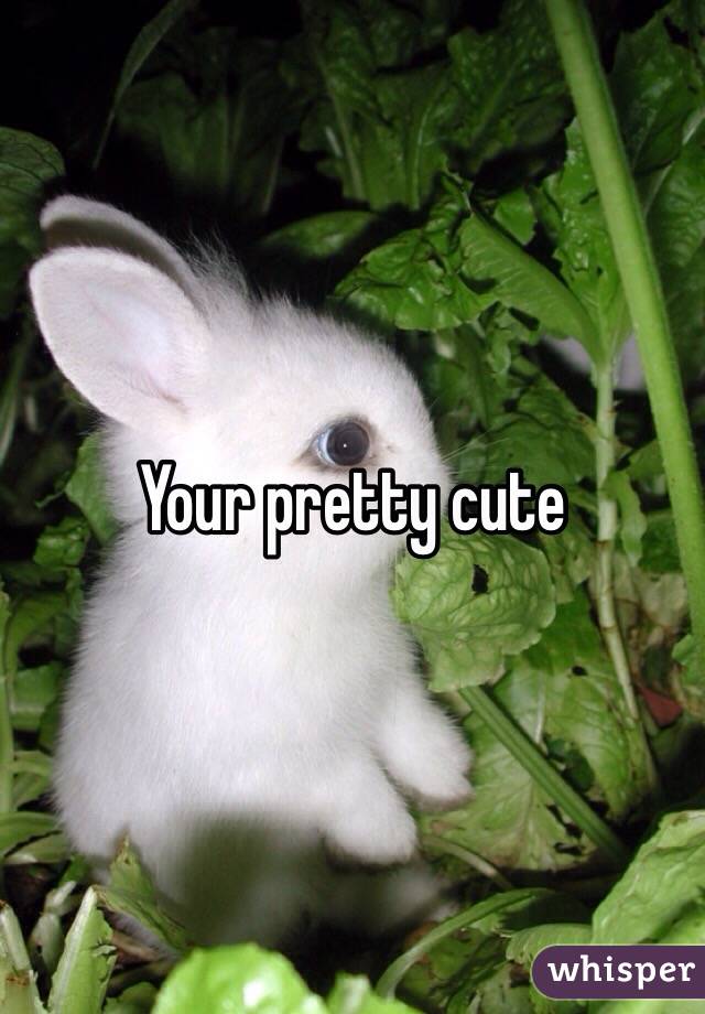 Your pretty cute
