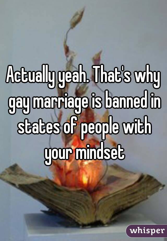 Actually yeah. That's why gay marriage is banned in states of people with your mindset