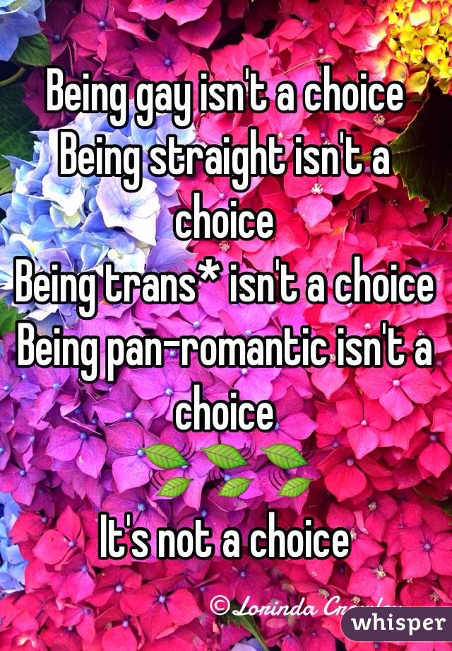 Being gay isn't a choice
Being straight isn't a choice
Being trans* isn't a choice 
Being pan-romantic isn't a choice
🍃🍃🍃
It's not a choice 