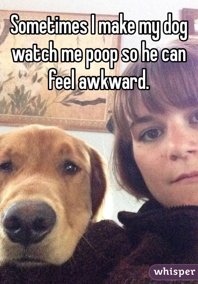 Sometimes I make my dog watch me poop so he can feel awkward. 