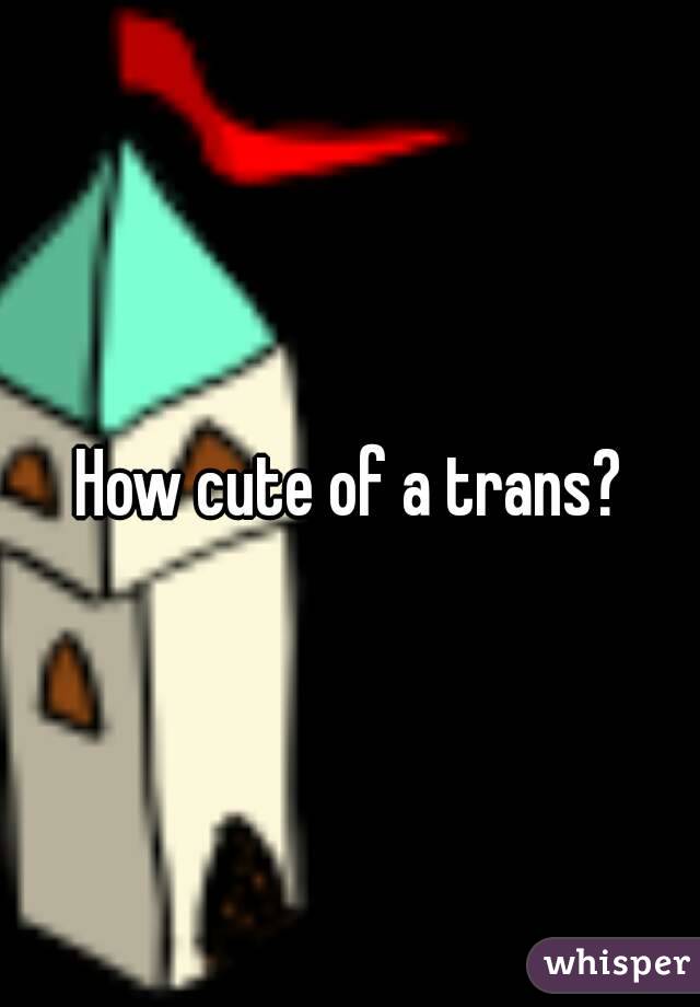 How cute of a trans?