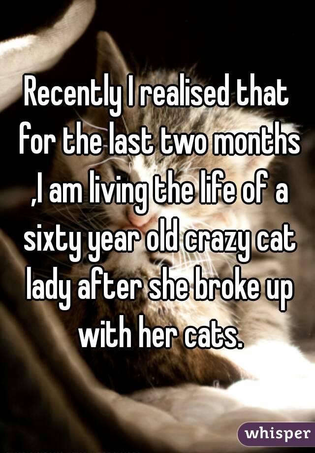 Recently I realised that for the last two months ,I am living the life of a sixty year old crazy cat lady after she broke up with her cats.